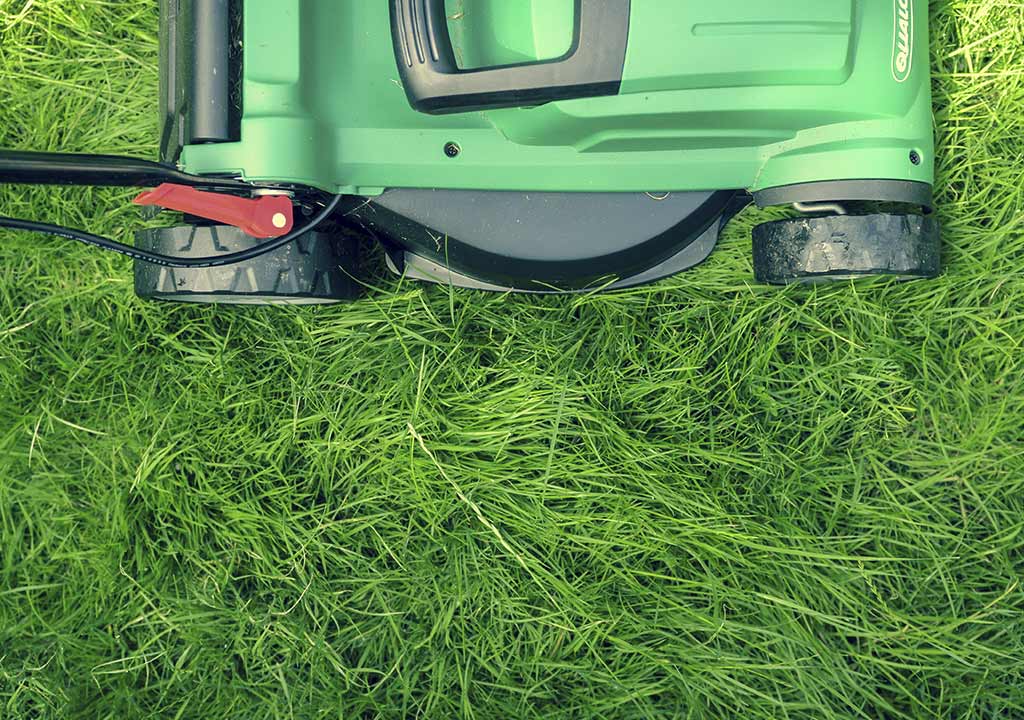 Guia completa sobre els tallagespes: Tot el que necessites saber