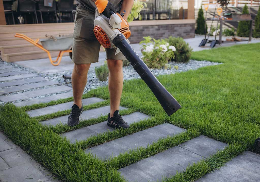 Els bufadors per a jardí: la guia completa per al vostre espai exterior