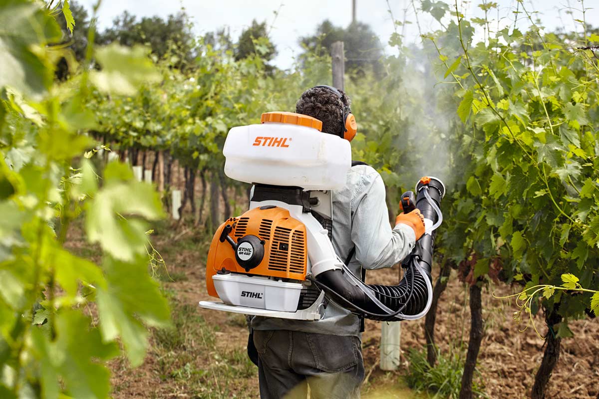 Protecció de l'hort: atomitzadors i polvoritzadors contra les plagues